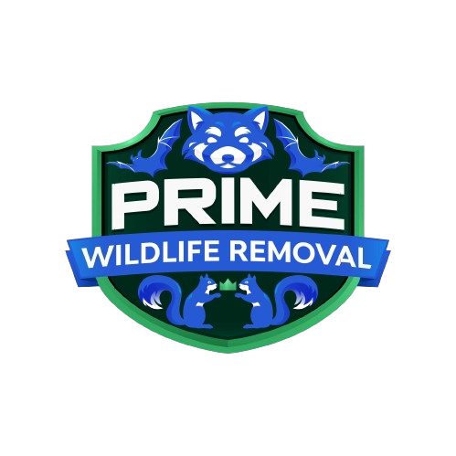 Wildlife Removal Berlin Township
